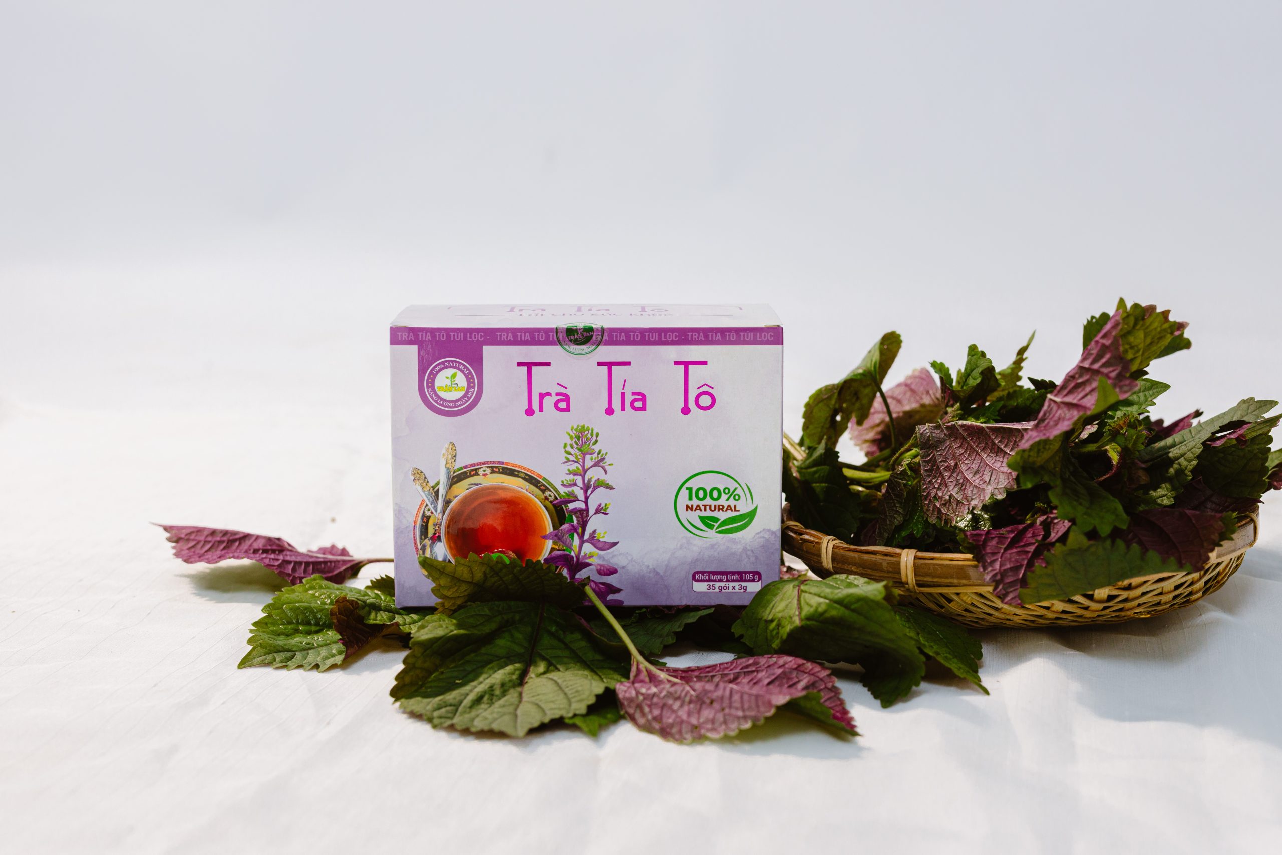 2T2A9555